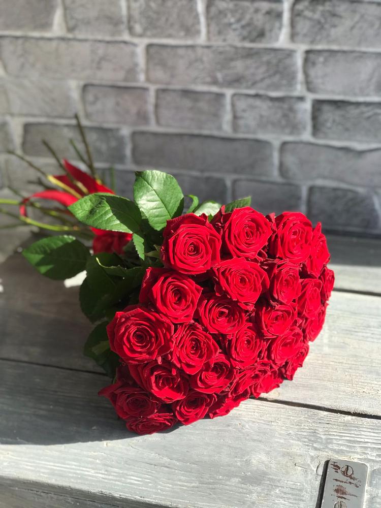 Букет Красные розы Фридом в Зеленый Бор