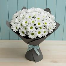 Букет цветов из:  Хризантемы в Зеленый Бор