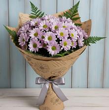 Букет цветов из:  Хризантемы в Зеленый Бор