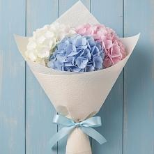Букет цветов из:  Гортензия в Зеленый Бор