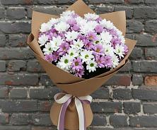 Букет цветов из:  Хризантемы в Зеленый Бор