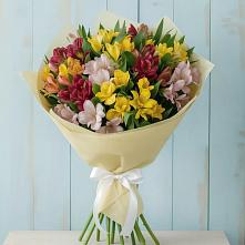 Букет цветов из:  Альстромерии в Зеленый Бор