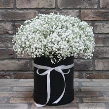 Цветочная композиция из Гипсофила в шляпной коробке в Зеленый Бор