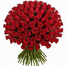 Букет Красные розы Чери Лав в Зеленый Бор