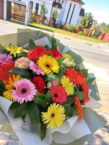 Букет цветов из: Герберы в Зеленый Бор